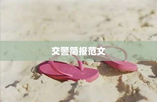 交警简报范文