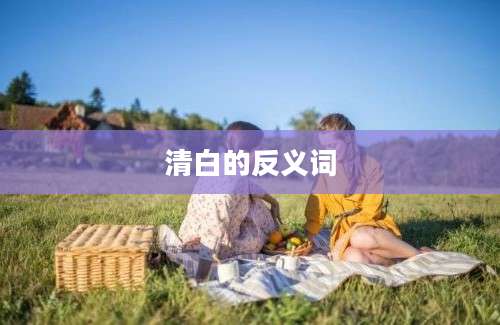 清白的反义词