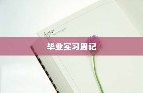 毕业实习周记