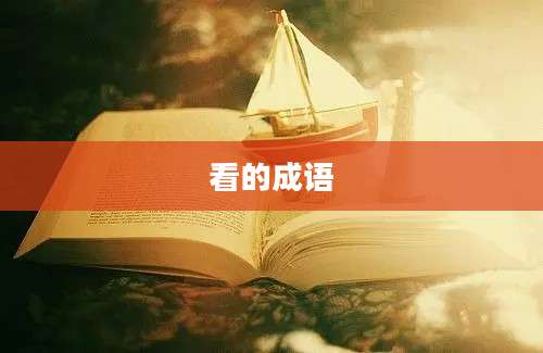 看的成语