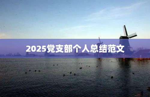 2025党支部个人总结范文