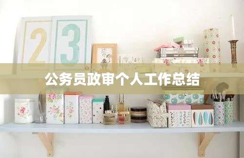 公务员政审个人工作总结