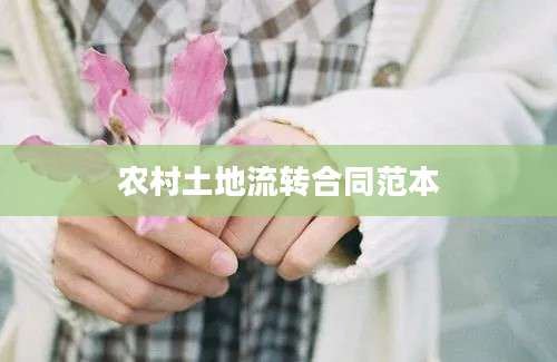 农村土地流转合同范本