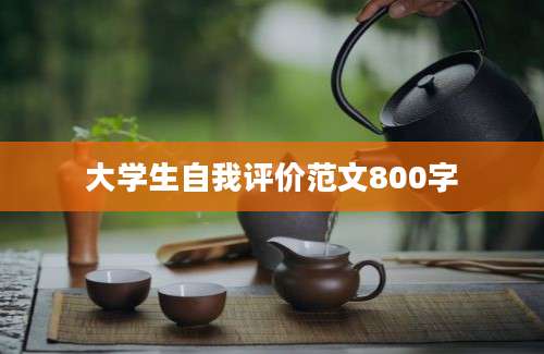 大学生自我评价范文800字