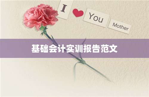 基础会计实训报告范文