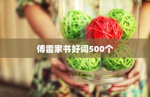 傅雷家书好词500个