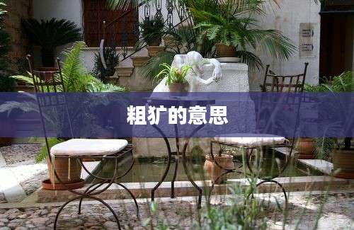 粗犷的意思