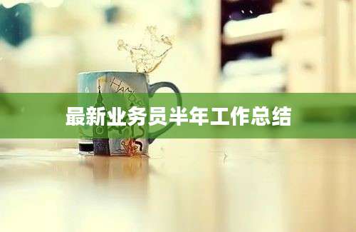 最新业务员半年工作总结