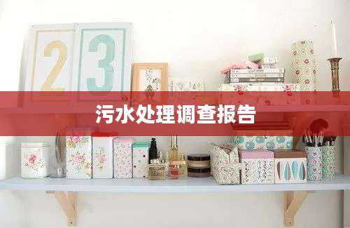 污水处理调查报告