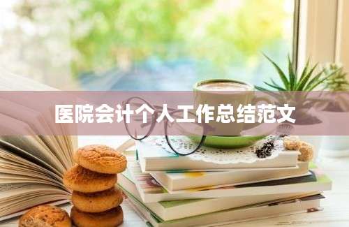 医院会计个人工作总结范文