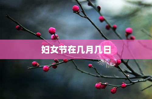 妇女节在几月几日