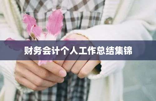财务会计个人工作总结集锦