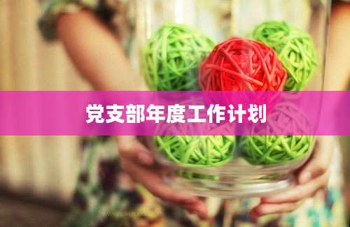 党支部年度工作计划