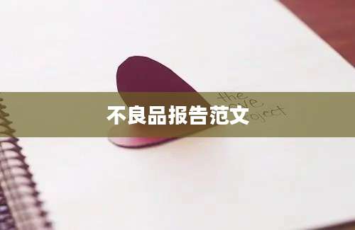 不良品报告范文