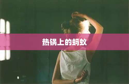 热锅上的蚂蚁