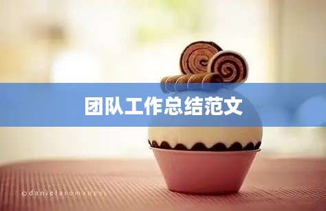 团队工作总结范文