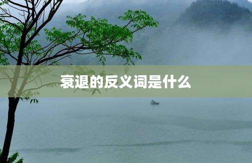衰退的反义词是什么