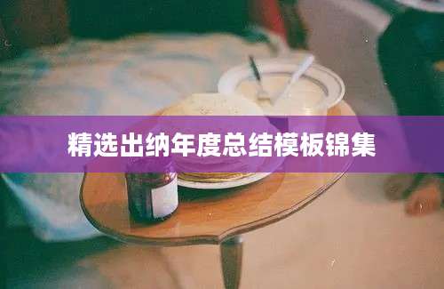 精选出纳年度总结模板锦集