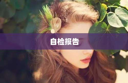 自检报告
