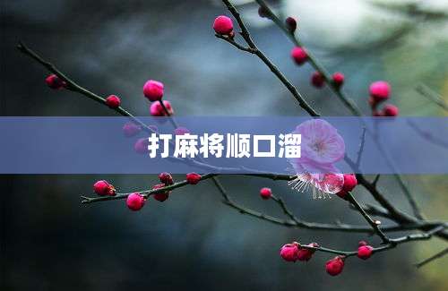 打麻将顺口溜