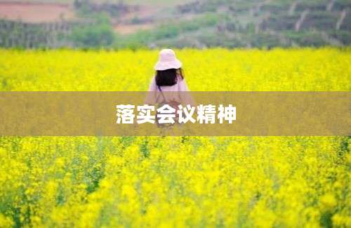 落实会议精神