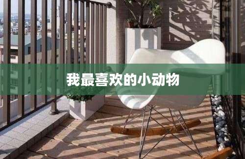我最喜欢的小动物