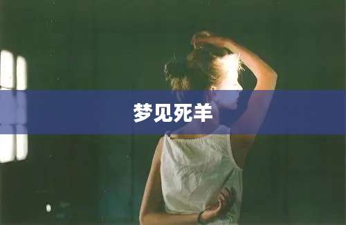 梦见死羊