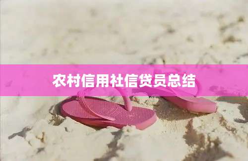 农村信用社信贷员总结
