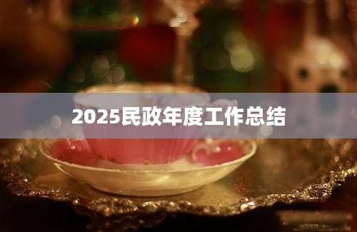 2025民政年度工作总结