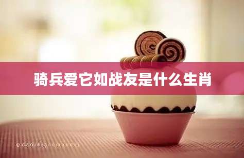 骑兵爱它如战友是什么生肖