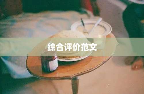综合评价范文