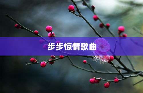 步步惊情歌曲