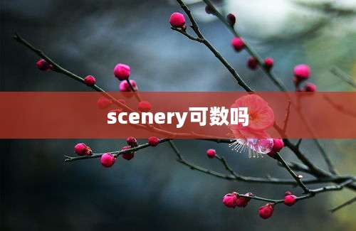 scenery可数吗