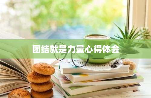 团结就是力量心得体会