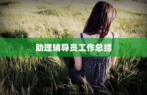 助理辅导员工作总结