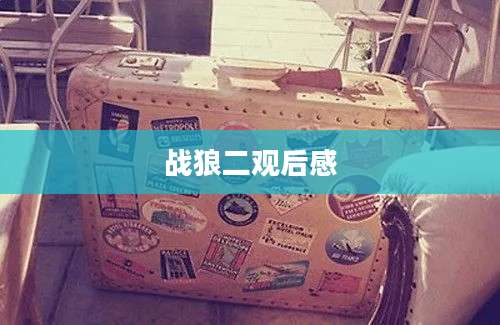 战狼二观后感