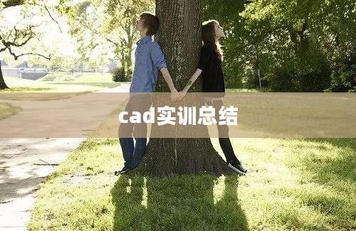 cad实训总结