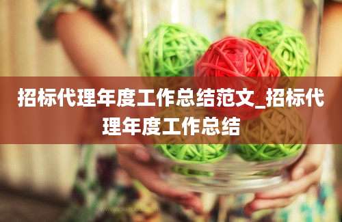 招标代理年度工作总结范文_招标代理年度工作总结