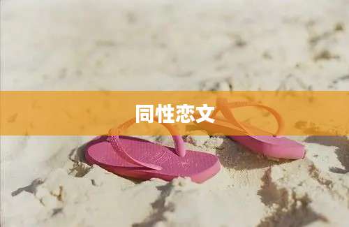 同性恋文