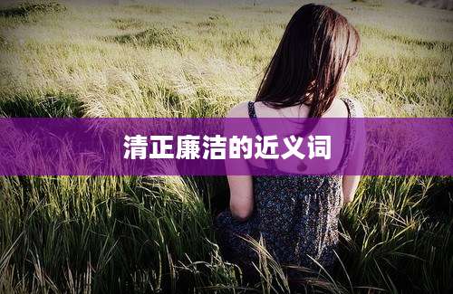 清正廉洁的近义词