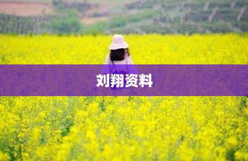 刘翔资料