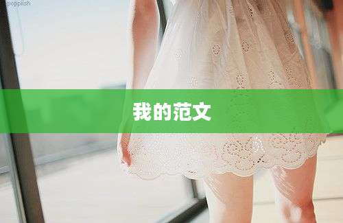 我的范文