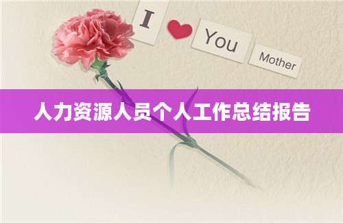 人力资源人员个人工作总结报告