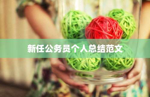 新任公务员个人总结范文