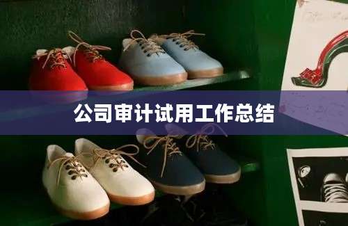 公司审计试用工作总结