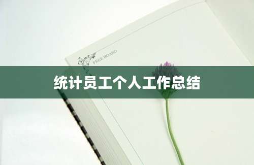 统计员工个人工作总结