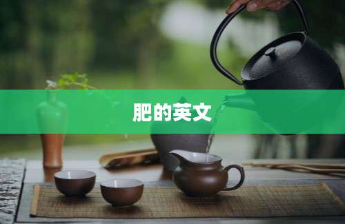 肥的英文