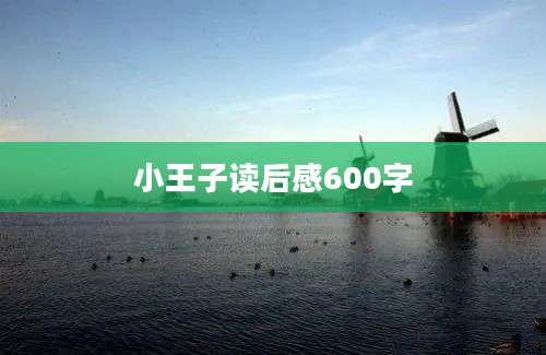 小王子读后感600字