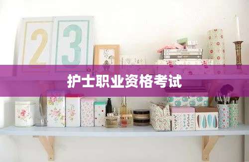 护士职业资格考试