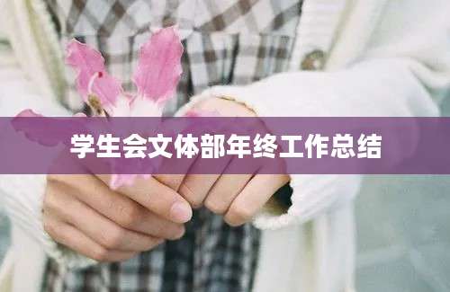 学生会文体部年终工作总结